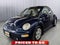 2001 Volkswagen BEETLE GLS