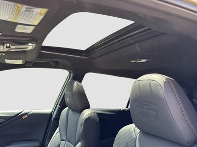 2025 Subaru OUTBACK Wilderness